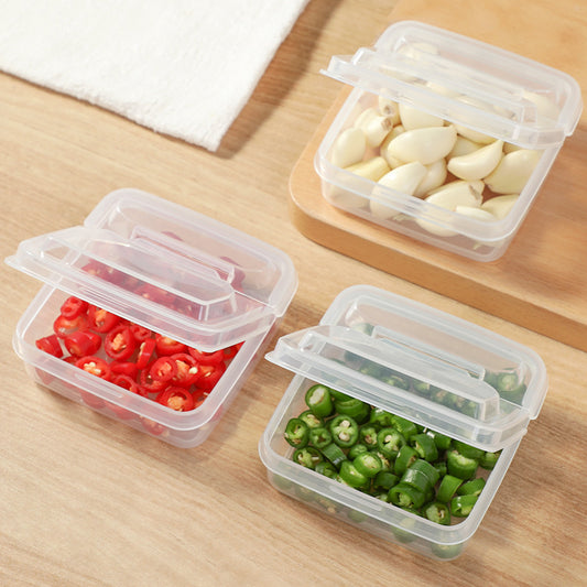 Hinged-lid food preserver container